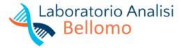 Laboratorio di Analisi Bellomo